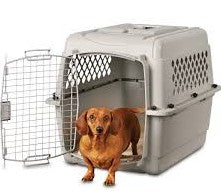 TRANSPORTADOR PERROS&GATOS