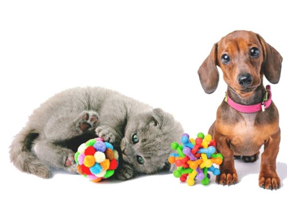 JUGUETES PARA PERROS Y GATOS