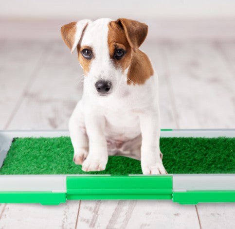 Baño Portátil Grande 63 Cm Para Mascota Grass Sintetico