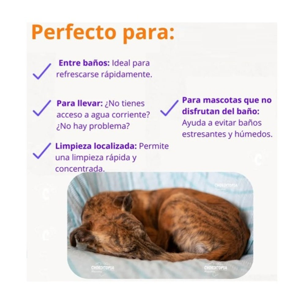 ESPUMA SHAMPOO FRUPPY HIPOALERGENICO GATOS x 300 ML