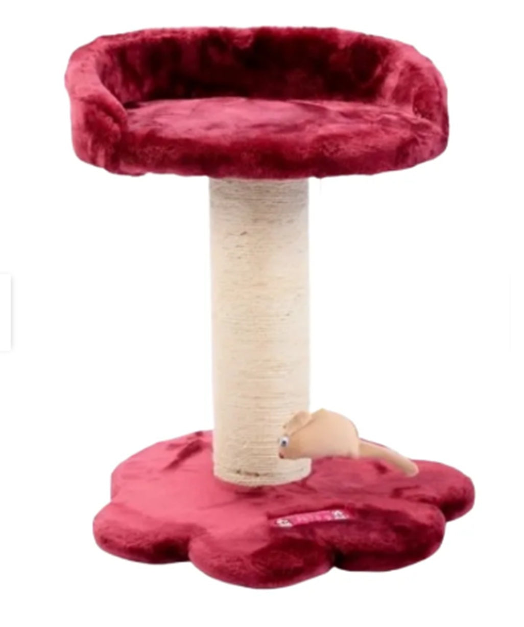 Rascador & Gimnasio para Gato 1 Pisos de 45 cm