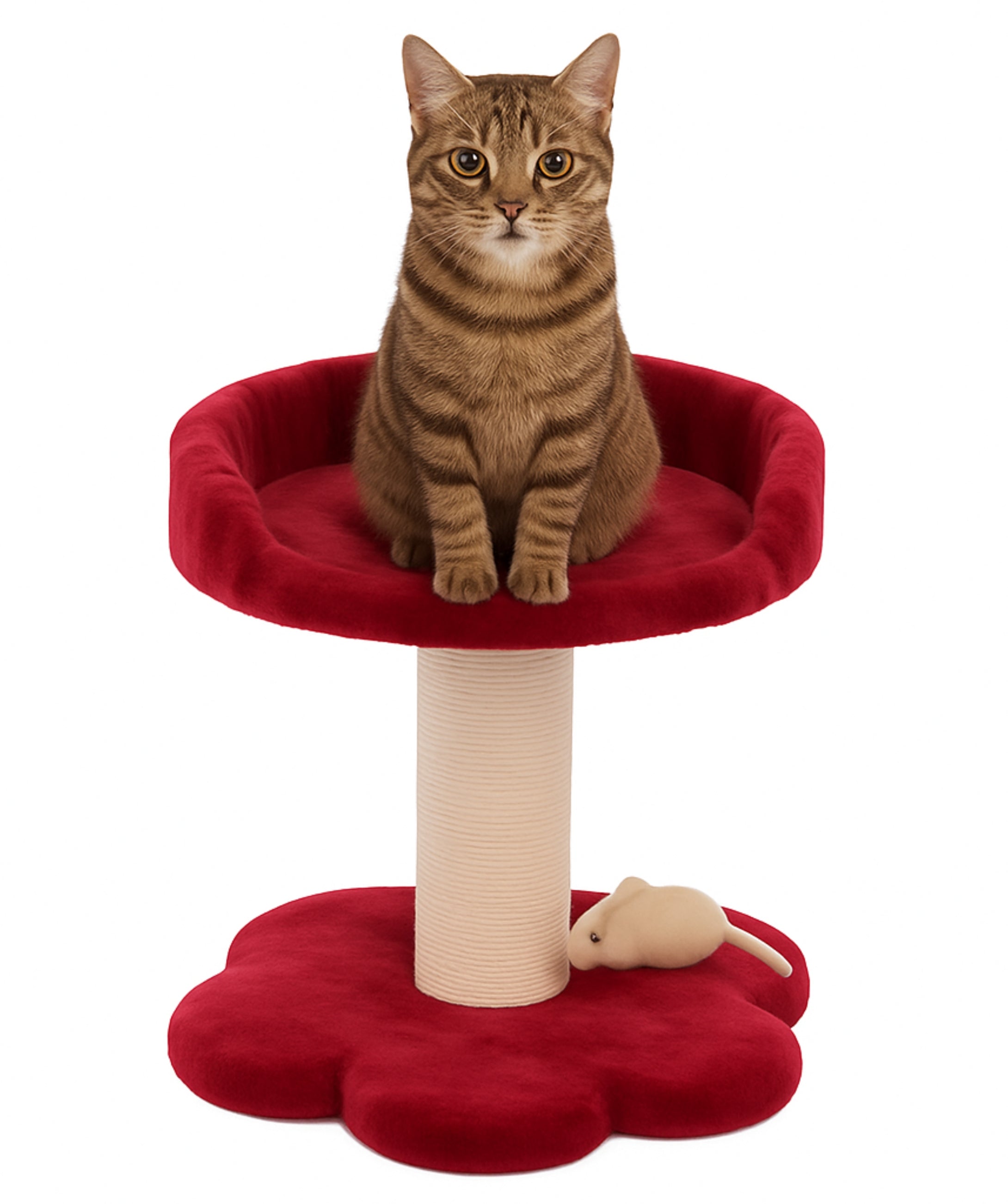 Rascador & Gimnasio para Gato 1 Pisos de 45 cm